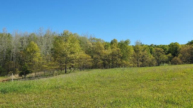 4160 E Winter Rd, Walkerville, MI 49459