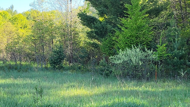 4160 E Winter Rd, Walkerville, MI 49459