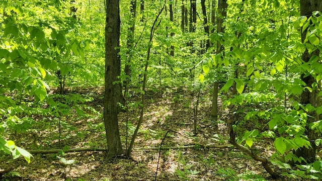 4160 E Winter Rd, Walkerville, MI 49459