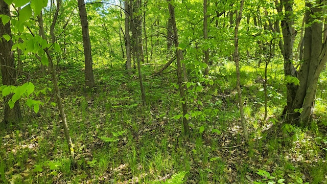 4160 E Winter Rd, Walkerville, MI 49459