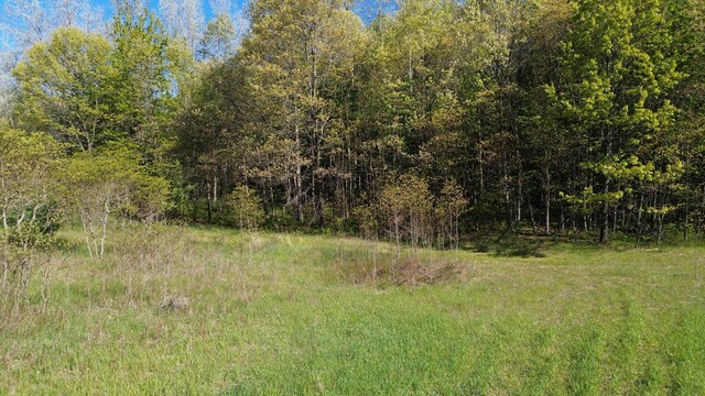 4160 E Winter Rd, Walkerville, MI 49459