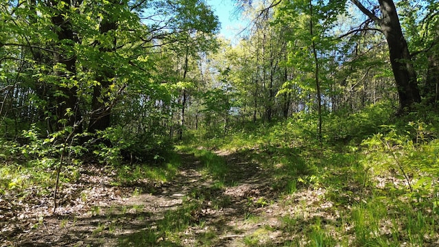 4160 E Winter Rd, Walkerville, MI 49459
