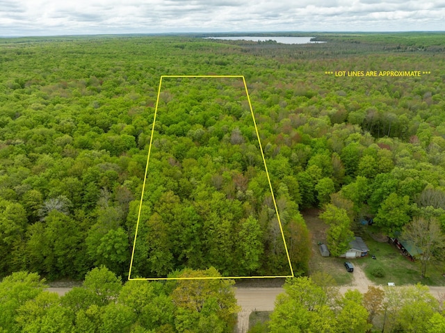 VL Covert Rd NE, Mancelona, MI 49659 - photo 1