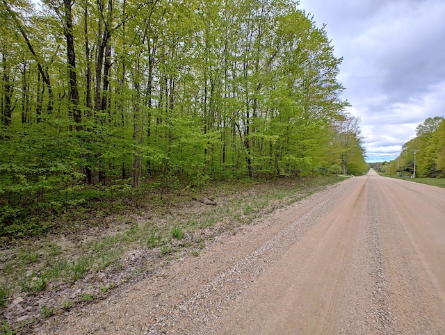 VL Covert Rd NE, Mancelona, MI 49659 - photo 2