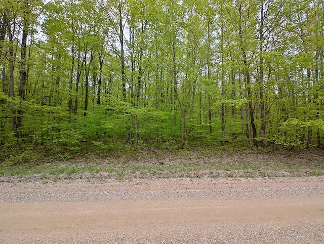 VL Covert Rd NE, Mancelona, MI 49659 - photo 3