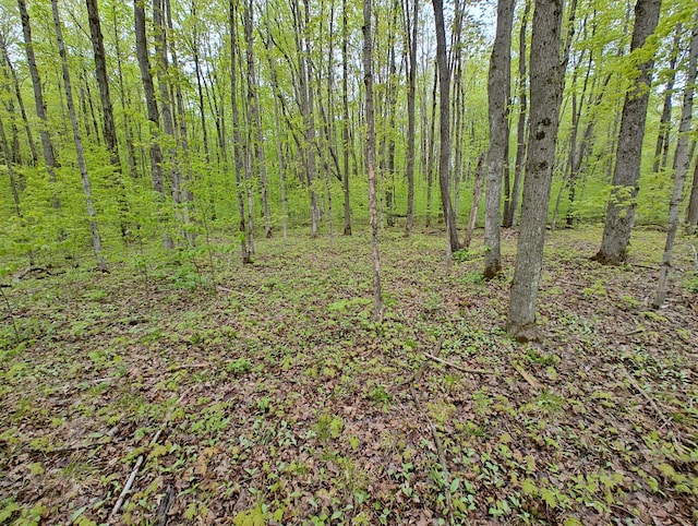 VL Covert Rd NE, Mancelona, MI 49659 - photo 4