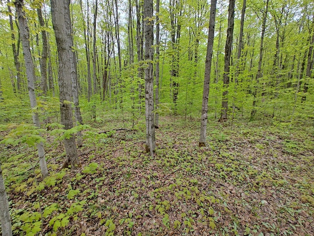 VL Covert Rd NE, Mancelona, MI 49659 - photo 5