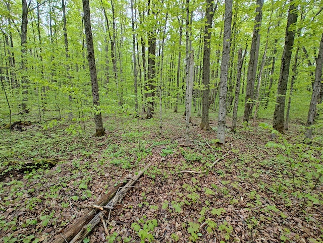 VL Covert Rd NE, Mancelona, MI 49659 - photo 6