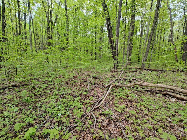 VL Covert Rd NE, Mancelona, MI 49659 - photo 7