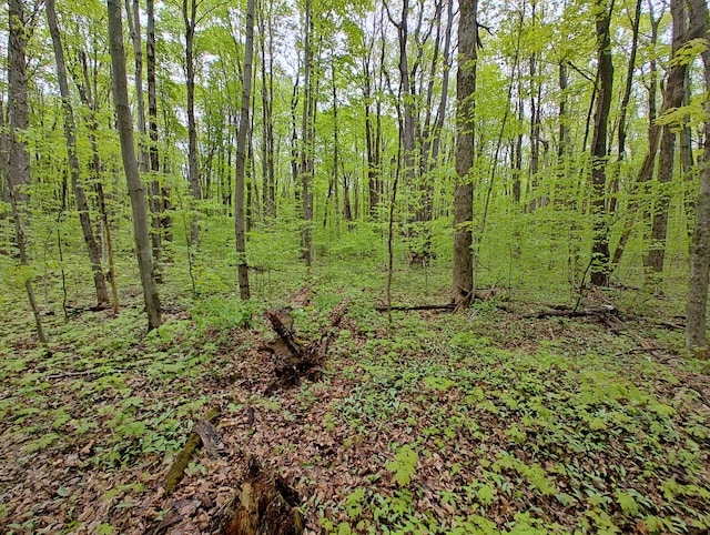 VL Covert Rd NE, Mancelona, MI 49659 - photo 8