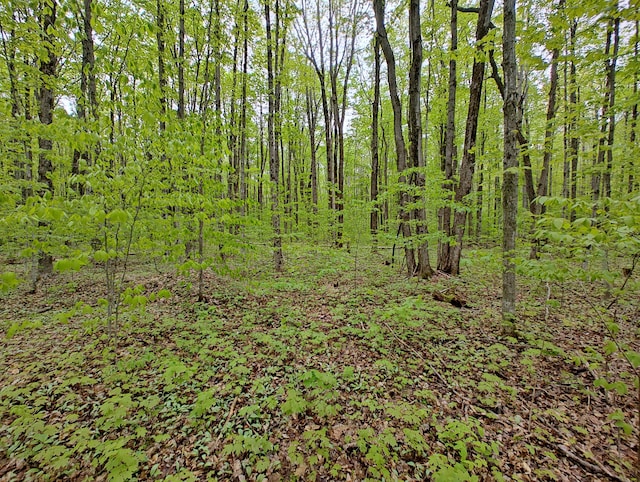 VL Covert Rd NE, Mancelona, MI 49659 - photo 10