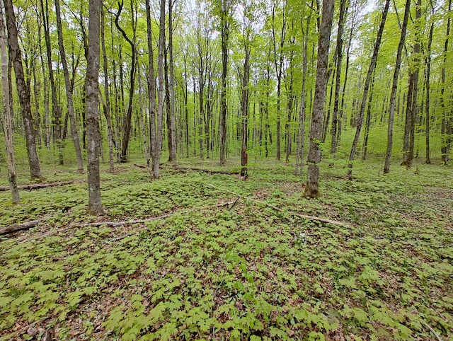 VL Covert Rd NE, Mancelona, MI 49659 - photo 11