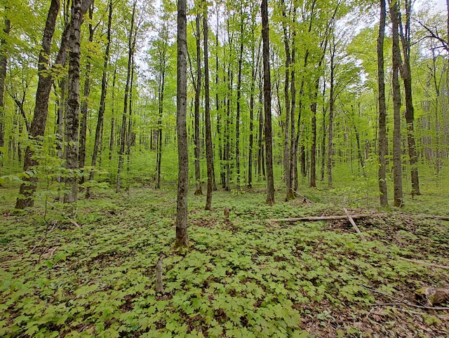 VL Covert Rd NE, Mancelona, MI 49659 - photo 12