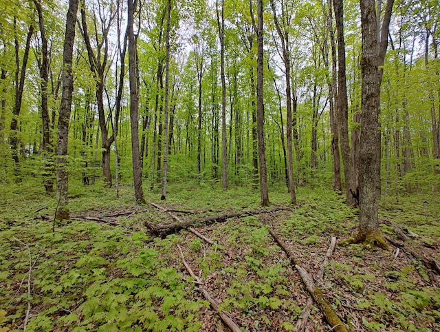 VL Covert Rd NE, Mancelona, MI 49659 - photo 13