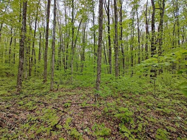 VL Covert Rd NE, Mancelona, MI 49659 - photo 14