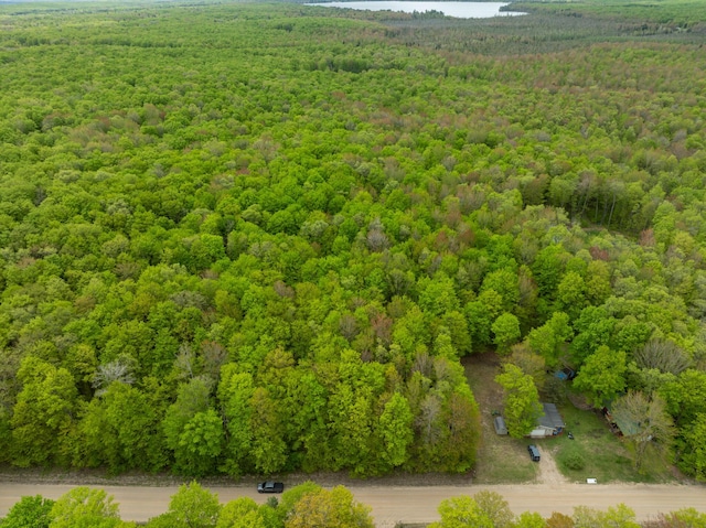 VL Covert Rd NE, Mancelona, MI 49659 - photo 15