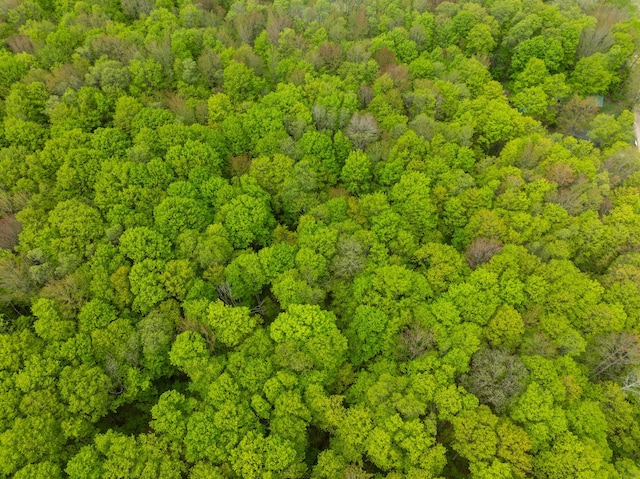 VL Covert Rd NE, Mancelona, MI 49659 - photo 16