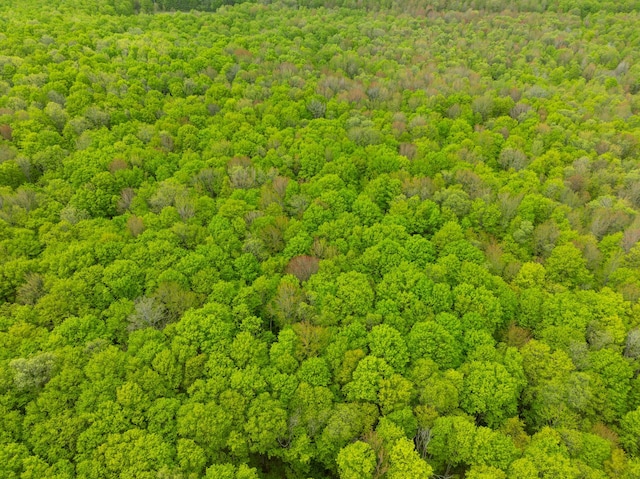 VL Covert Rd NE, Mancelona, MI 49659 - photo 17