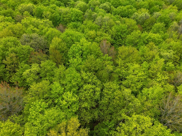 VL Covert Rd NE, Mancelona, MI 49659 - photo 18
