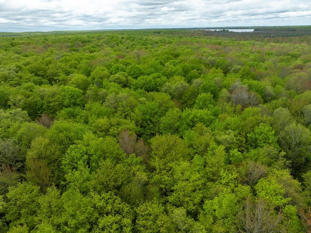 VL Covert Rd NE, Mancelona, MI 49659 - photo 19
