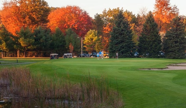 6805 Mayfair Dr Unit 15, Canadian Lakes, MI 49346