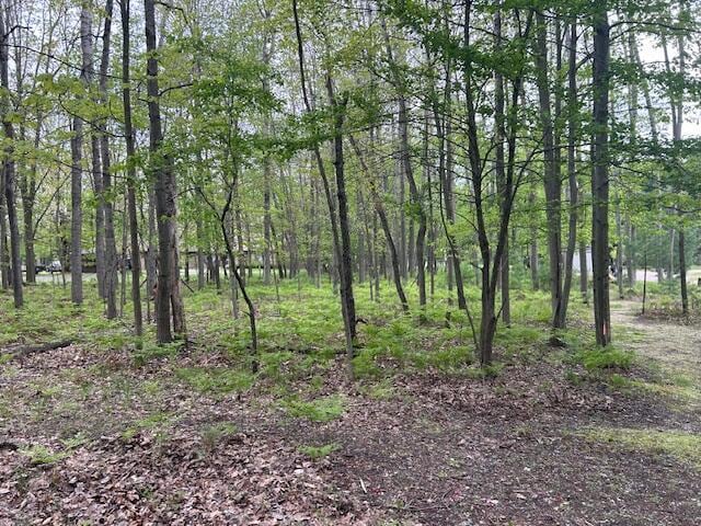 6805 Mayfair Dr Unit 15, Canadian Lakes, MI 49346
