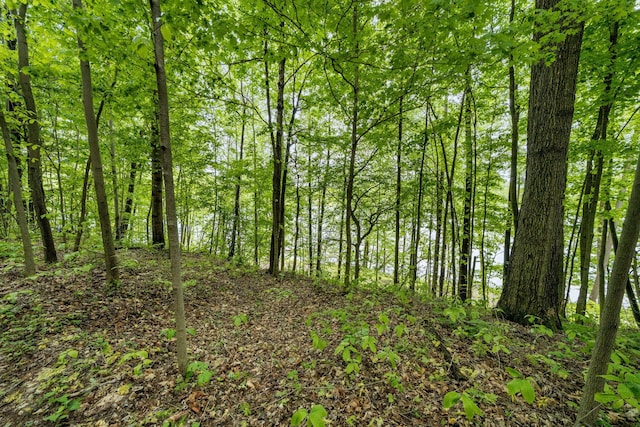 V/L Shorewood Ln # 9Lot, Cassopolis, MI 49031