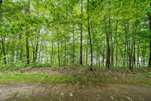 V/L Shorewood Ln # 9Lot, Cassopolis, MI 49031