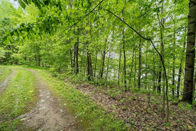 V/L Shorewood Ln # 9Lot, Cassopolis, MI 49031