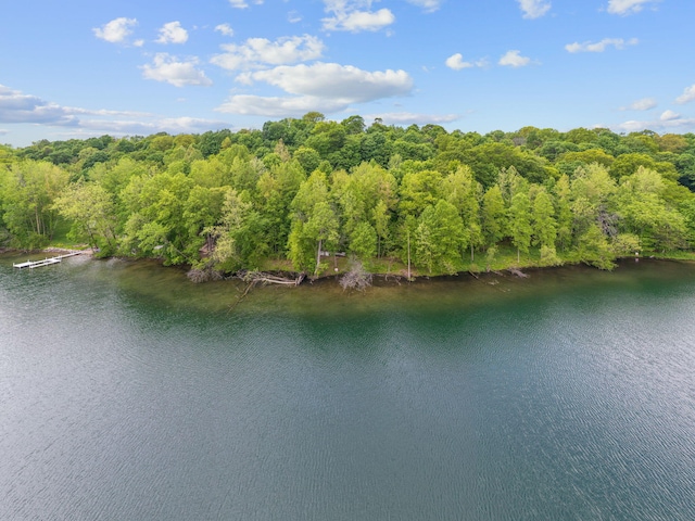 V/L Shorewood Ln # 9Lot, Cassopolis, MI 49031