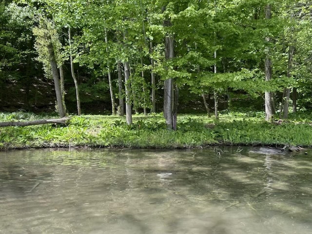 V/L Shorewood Ln # 9Lot, Cassopolis, MI 49031
