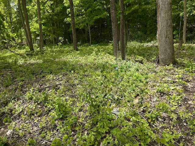 V/L Shorewood Ln # 9Lot, Cassopolis, MI 49031