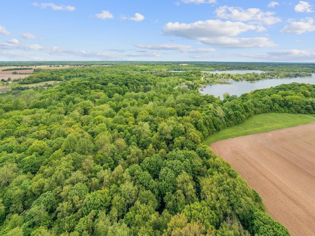 64711 Shorewood Ln, Cassopolis, MI 49031 - bird's eye view of a forest and a nearby body of water