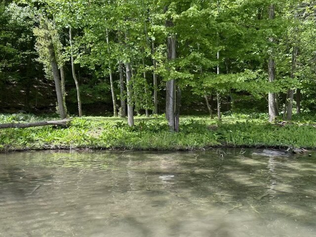 64711 Shorewood Ln, Cassopolis, MI 49031 - water view