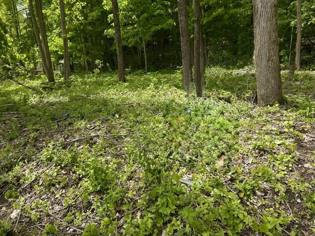 64711 Shorewood Ln, Cassopolis, MI 49031 - view of nature