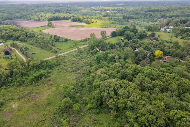 0 Rose Hill Rd, Pinckney, MI 48169