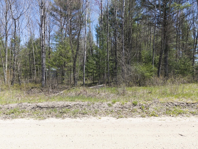 7242 S James Rd, Baldwin, MI 49304