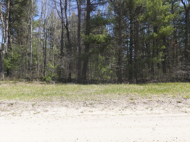 7242 S James Rd, Baldwin, MI 49304