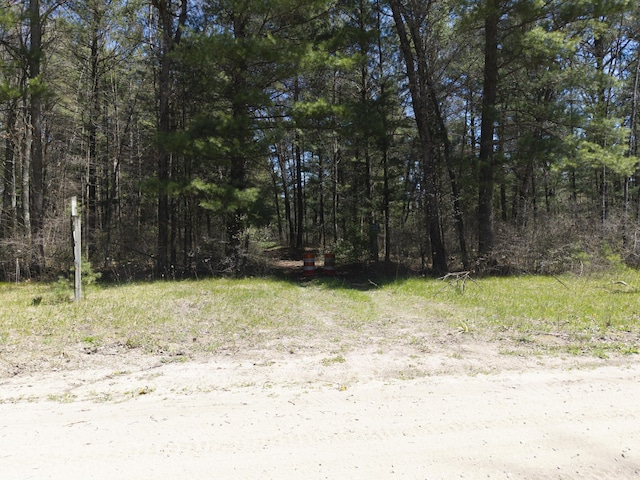 7242 S James Rd, Baldwin, MI 49304