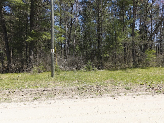 7242 S James Rd, Baldwin, MI 49304