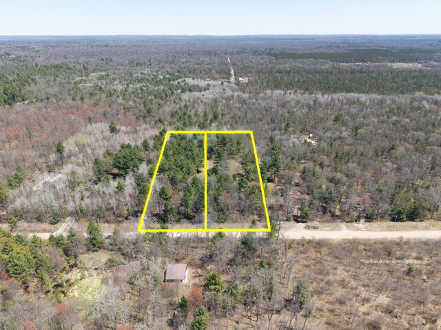 7242 S James Rd, Baldwin, MI 49304