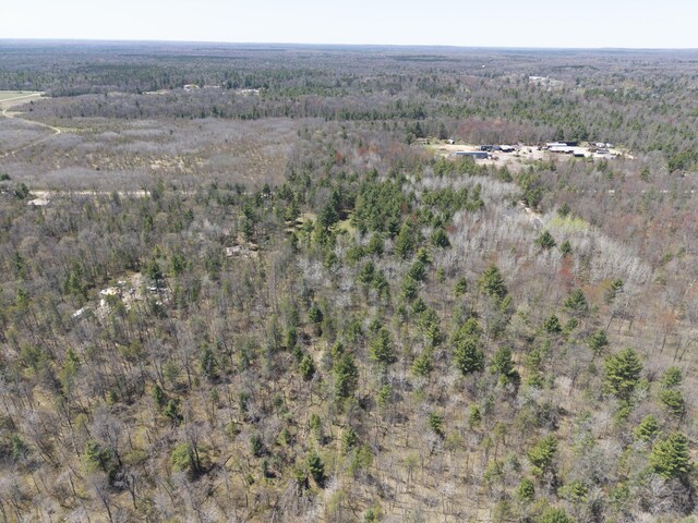 7242 S James Rd, Baldwin, MI 49304