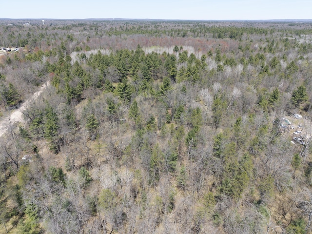 7242 S James Rd, Baldwin, MI 49304