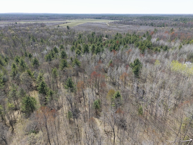 7242 S James Rd, Baldwin, MI 49304