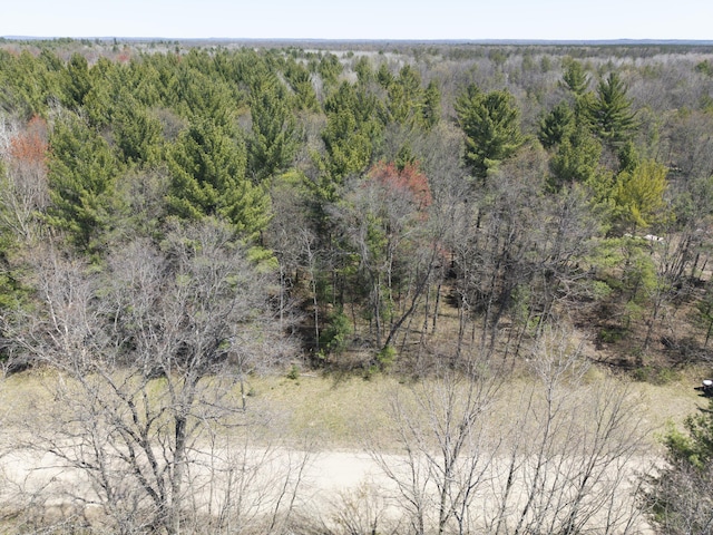 7242 S James Rd, Baldwin, MI 49304