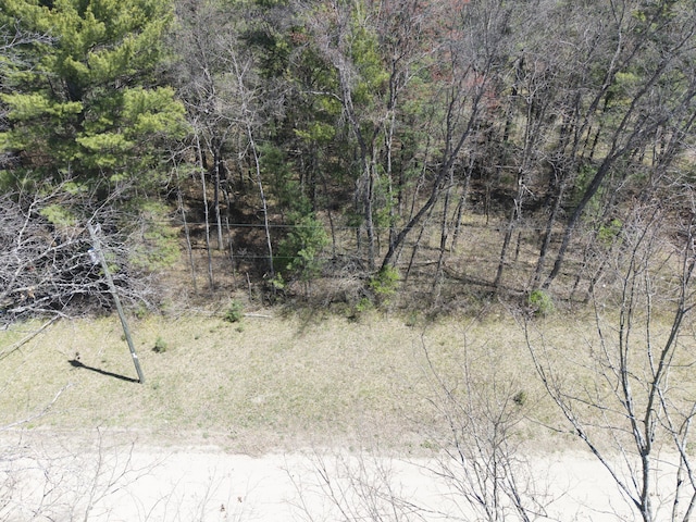 7242 S James Rd, Baldwin, MI 49304