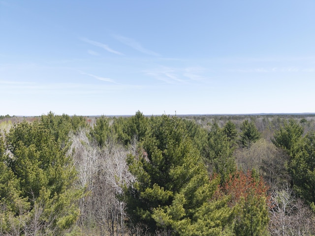 7242 S James Rd, Baldwin, MI 49304