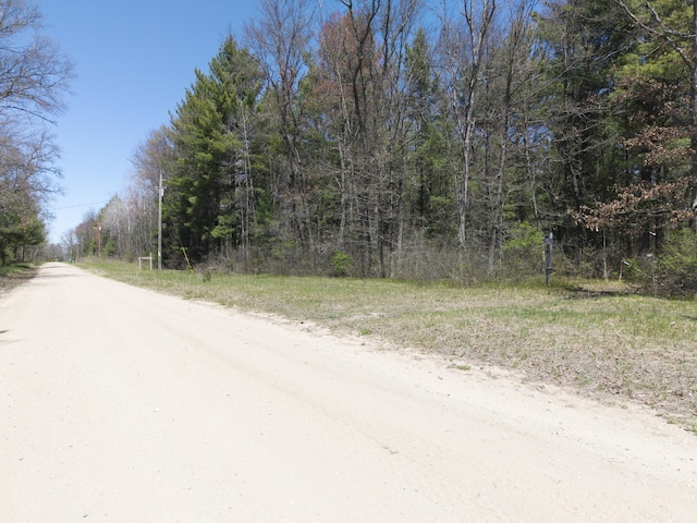 7242 S James Rd, Baldwin, MI 49304