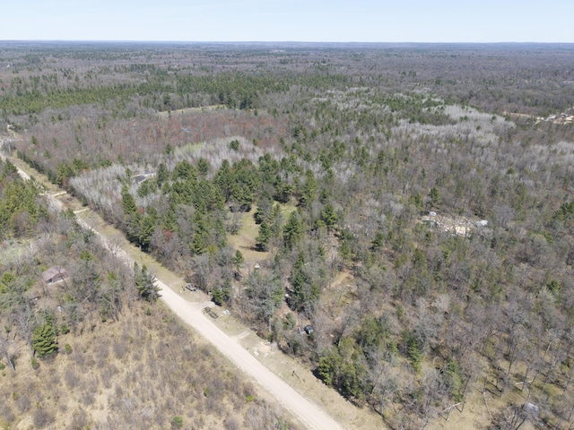 7242 S James Rd, Baldwin, MI 49304