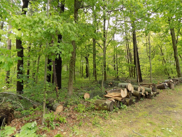 3218 Chestnut Ave, Coloma, MI 49038
